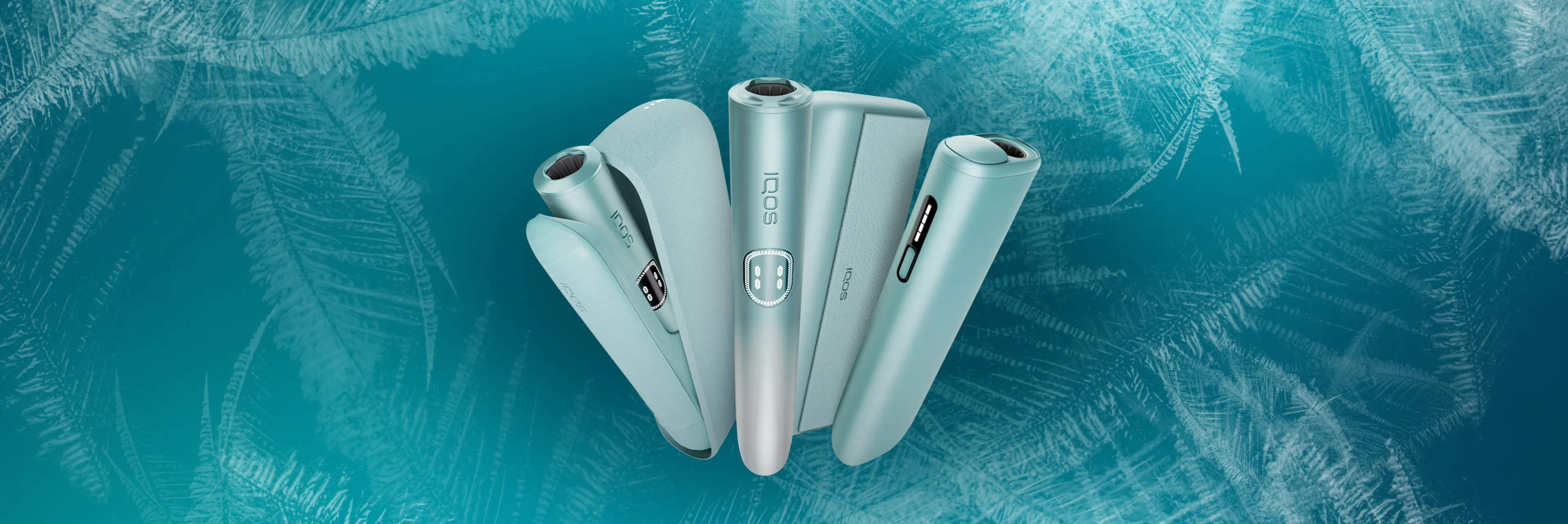 iqos-in-winter